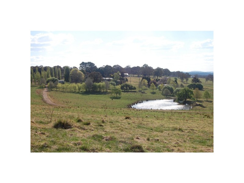 Wongwibinda NSW 2350