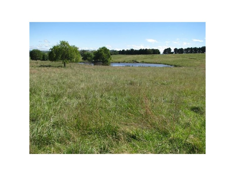 Wongwibinda NSW 2350
