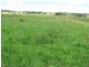 Wongwibinda NSW 2350