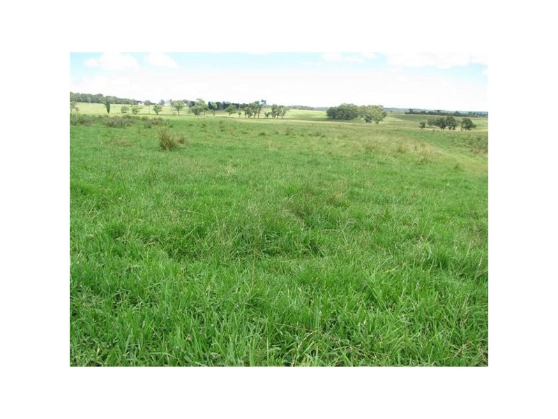 Wongwibinda NSW 2350