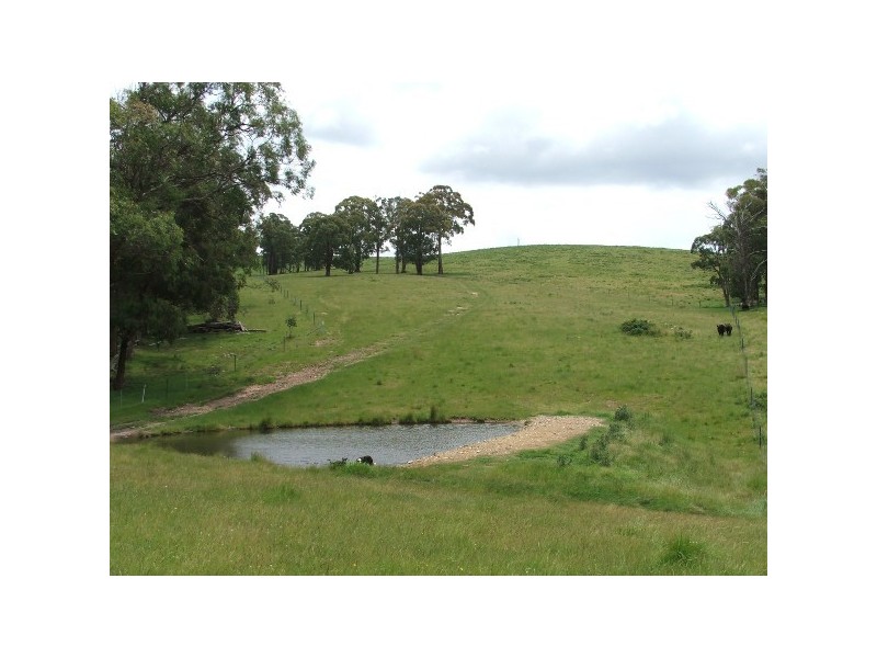 Wongwibinda NSW 2350