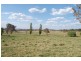 Wongwibinda NSW 2350