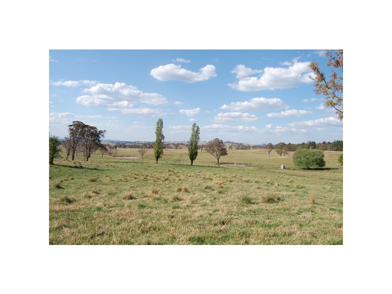 Wongwibinda NSW 2350