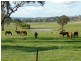 Wongwibinda NSW 2350