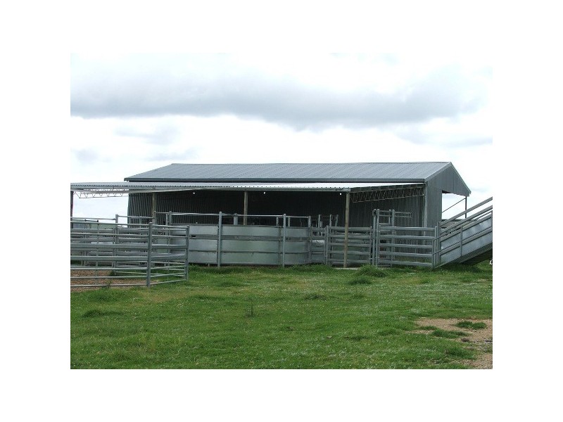 Wongwibinda NSW 2350