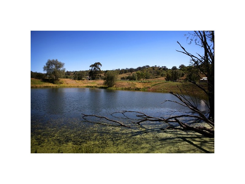 Mount Hunter NSW 2570