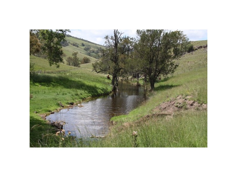 “Arkana” 1986 Sandy Creek Road, Muswellbrook NSW 2333