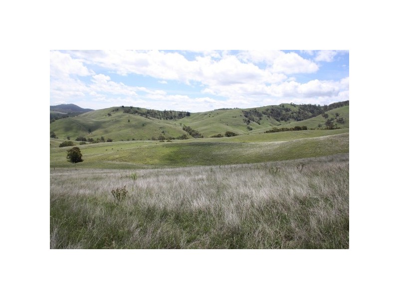 “Arkana” 1986 Sandy Creek Road, Muswellbrook NSW 2333