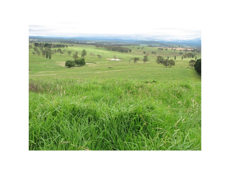 “Teangi” 338 Fishington Road, Wongwibinda NSW 2350
