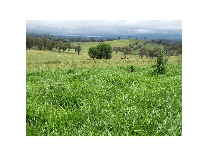 “Teangi” 338 Fishington Road, Wongwibinda NSW 2350