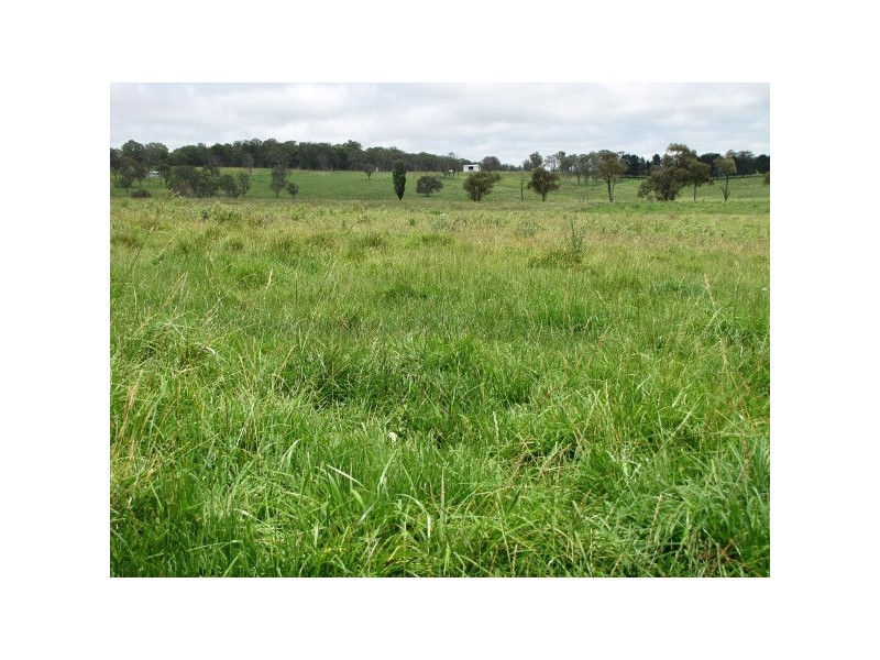 “Teangi” 338 Fishington Road, Wongwibinda NSW 2350