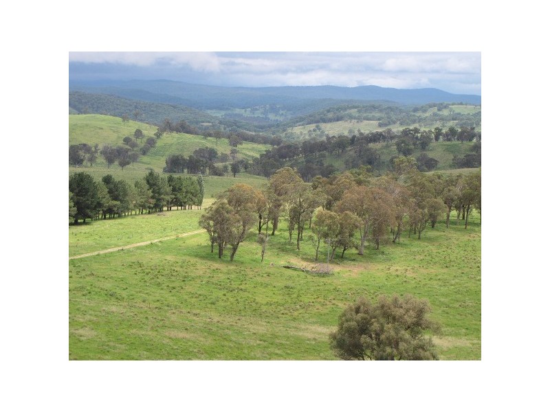 “Teangi” 338 Fishington Road, Wongwibinda NSW 2350