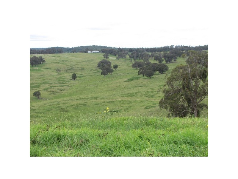 “Teangi” 338 Fishington Road, Wongwibinda NSW 2350