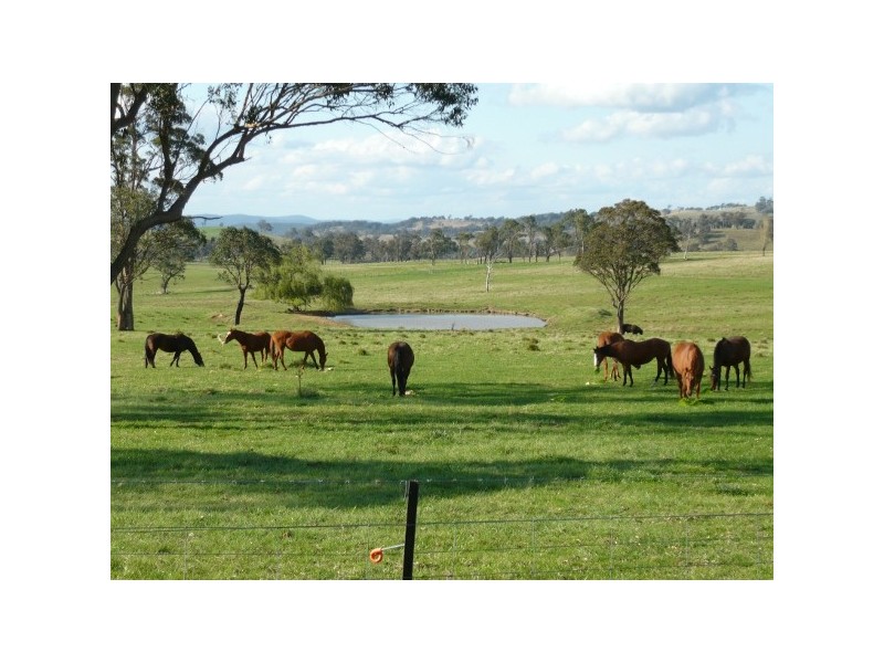 “Teangi” 338 Fishington Road, Wongwibinda NSW 2350