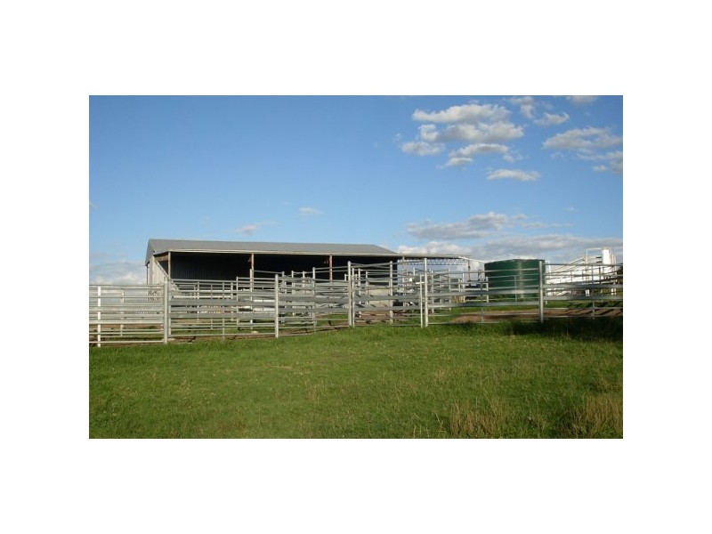 “Teangi” 338 Fishington Road, Wongwibinda NSW 2350