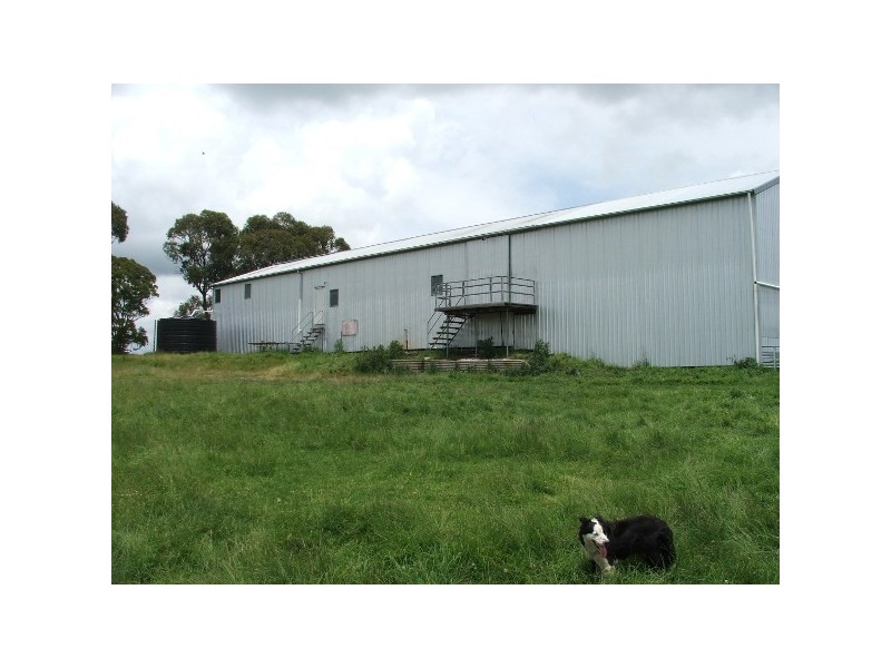 “Teangi” 338 Fishington Road, Wongwibinda NSW 2350