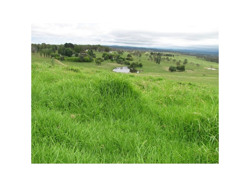 “Teangi” 338 Fishington Road, Wongwibinda NSW 2350