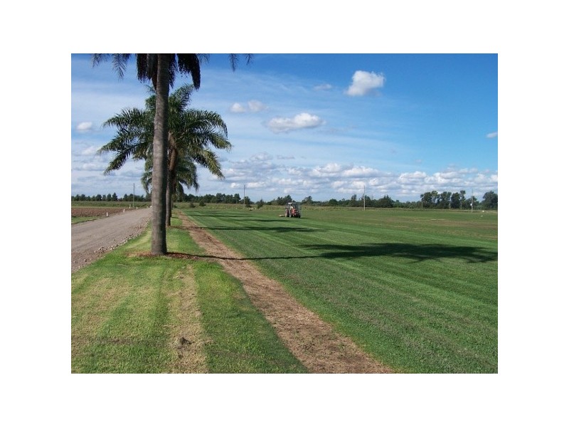 87 Cornwallis Rd, Cornwallis NSW 2756