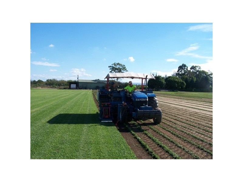 87 Cornwallis Rd, Cornwallis NSW 2756