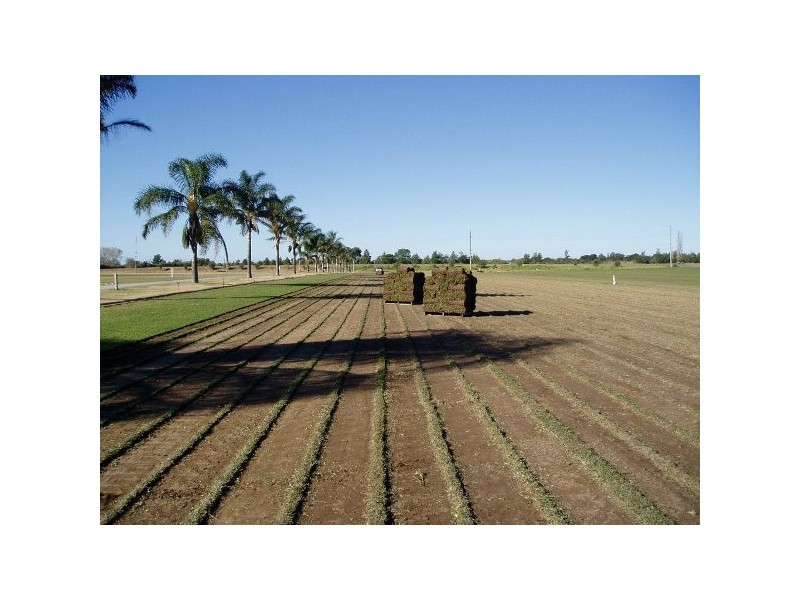 87 Cornwallis Rd, Cornwallis NSW 2756