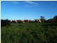 “Willowood” 3777 Tumbarumba Road, Carabost NSW 2650