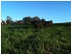 “Willowood” 3777 Tumbarumba Road, Carabost NSW 2650