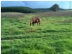 “Willowood” 3777 Tumbarumba Road, Carabost NSW 2650