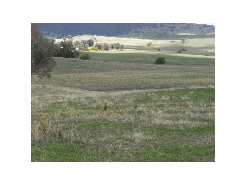 18 Westwood Road, Adelong NSW 2729