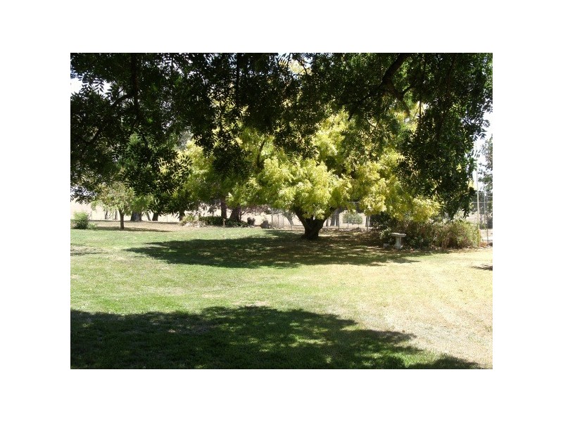 18 Westwood Road, Adelong NSW 2729