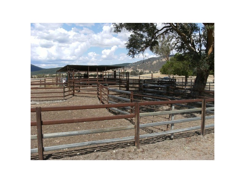 18 Westwood Road, Adelong NSW 2729