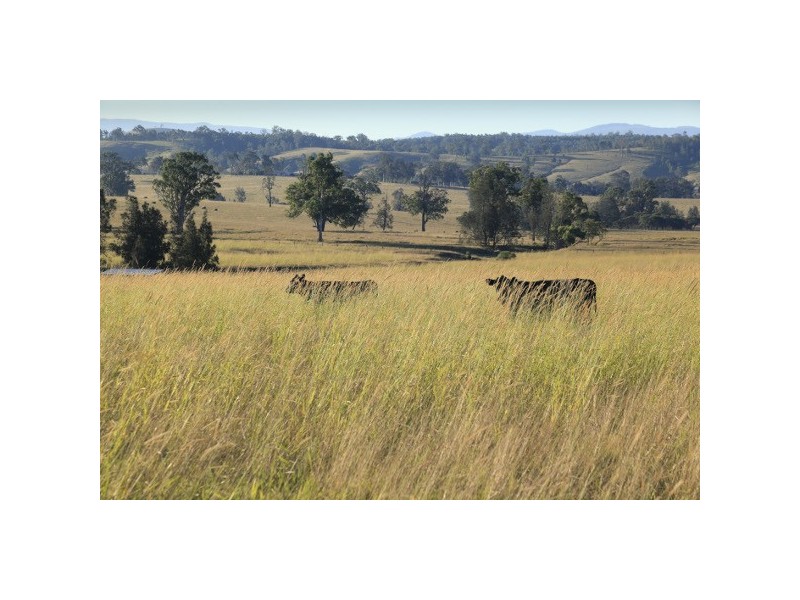 “Pilchers” 4515 Clarence Town Road, Dungog NSW 2420