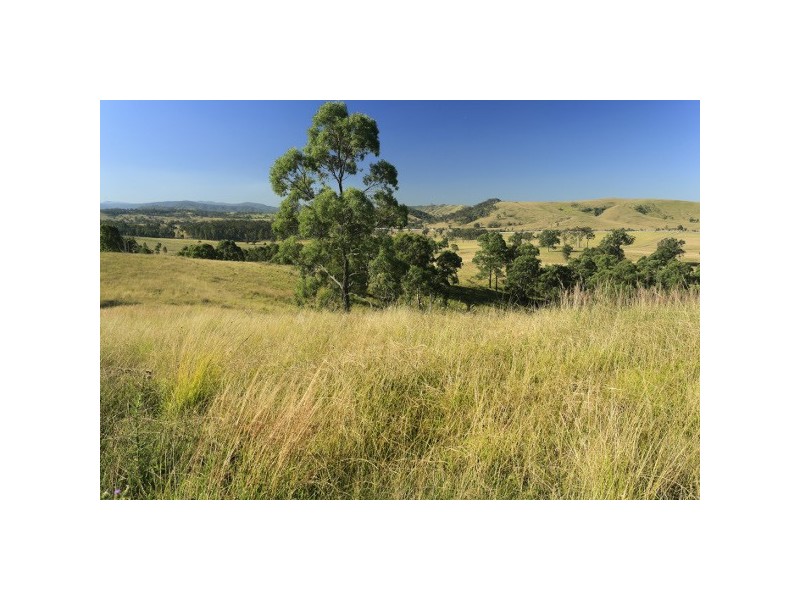 “Pilchers” 4515 Clarence Town Road, Dungog NSW 2420