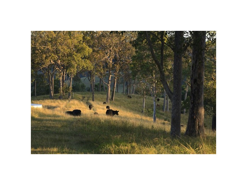 “Pilchers” 4515 Clarence Town Road, Dungog NSW 2420