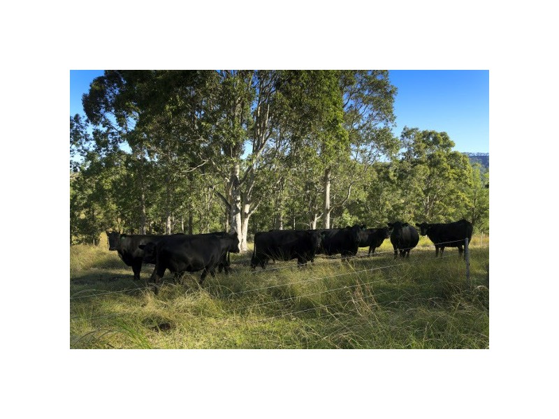 “Pilchers” 4515 Clarence Town Road, Dungog NSW 2420