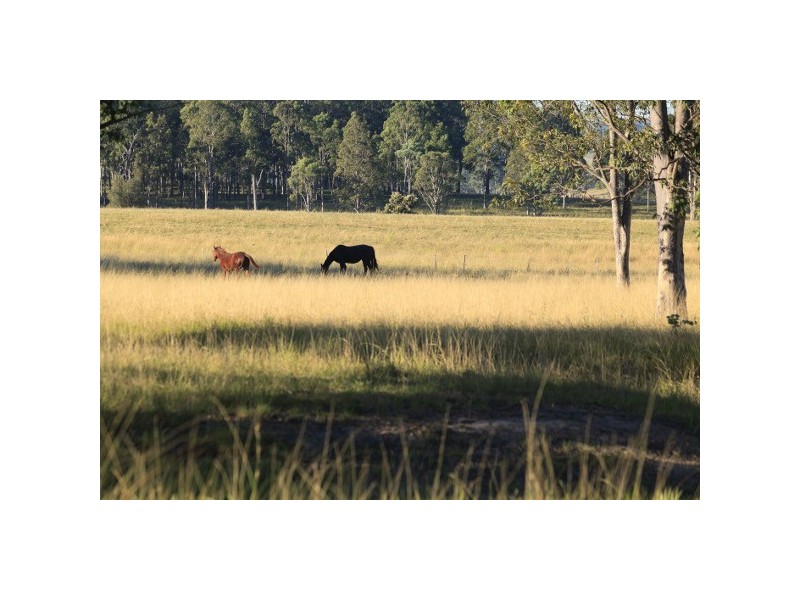 “Pilchers” 4515 Clarence Town Road, Dungog NSW 2420