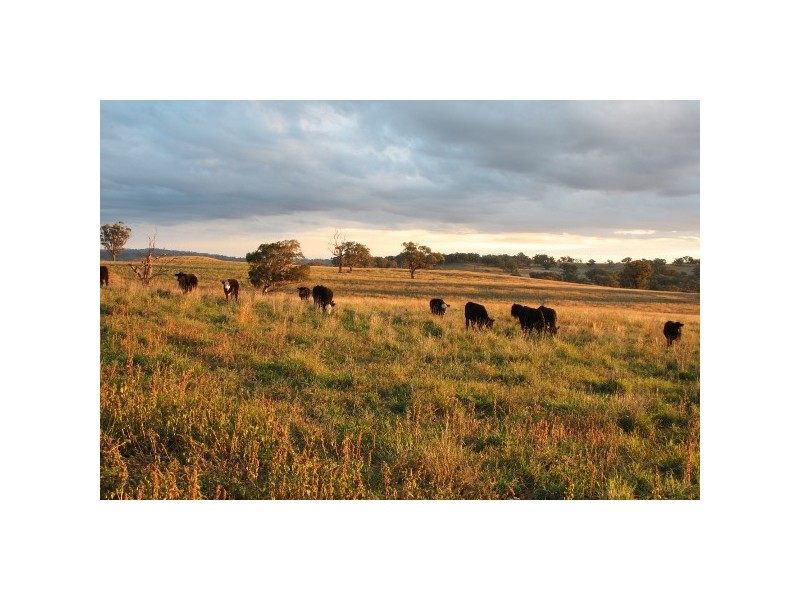 “Devanah” 411 Mousehole Lane, Bowan Park NSW 2864