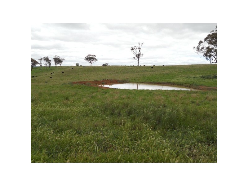 “Devanah” 411 Mousehole Lane, Bowan Park NSW 2864