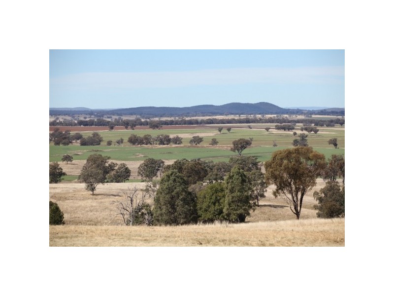 “Macintyre Station” 86 Macintyre Station Road, Bukkulla NSW 2360