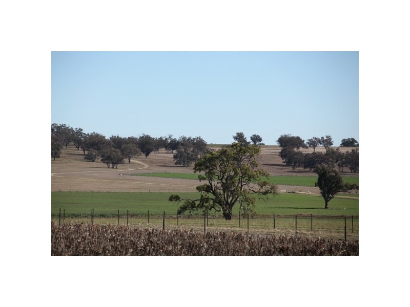 “Macintyre Station” 86 Macintyre Station Road, Bukkulla NSW 2360