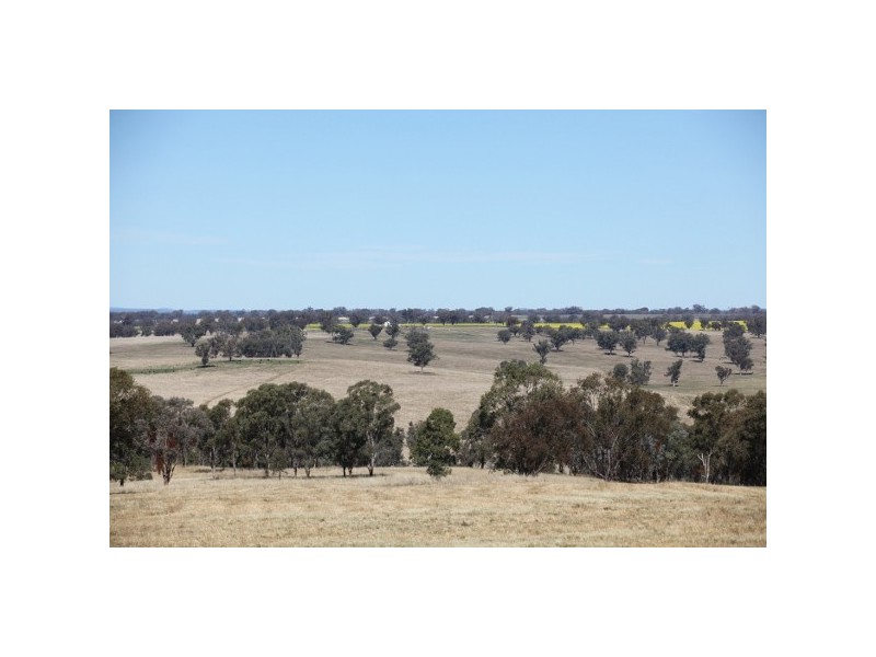 “Macintyre Station” 86 Macintyre Station Road, Bukkulla NSW 2360