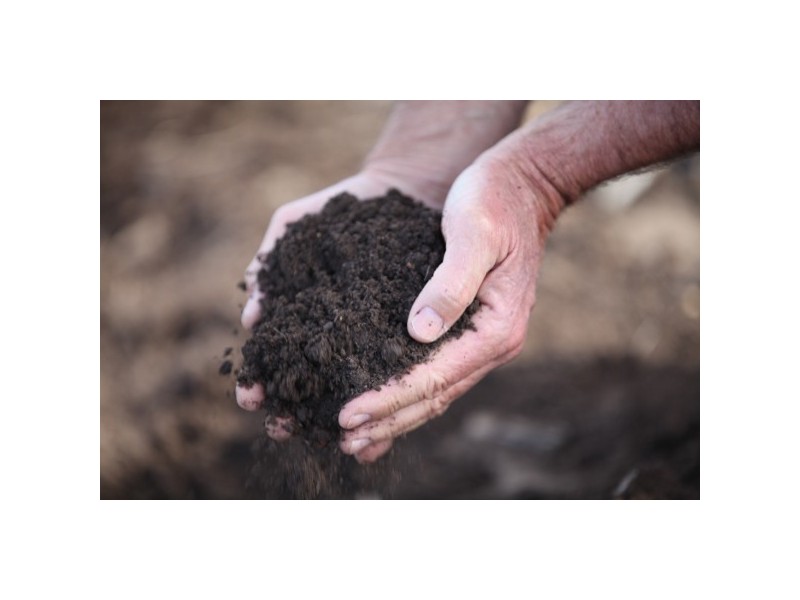 “Macintyre Station” 86 Macintyre Station Road, Bukkulla NSW 2360