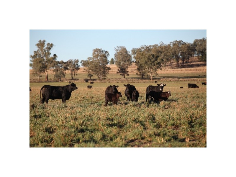 “Myall Creek Station” 2450 Bingara Road, Delungra NSW 2403