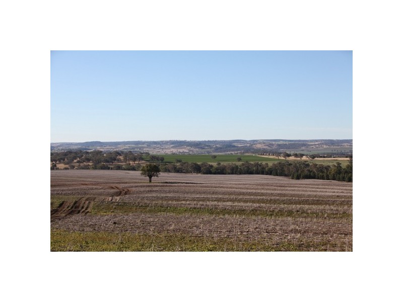 “Myall Creek Station” 2450 Bingara Road, Delungra NSW 2403