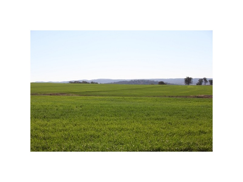 “Myall Creek Station” 2450 Bingara Road, Delungra NSW 2403