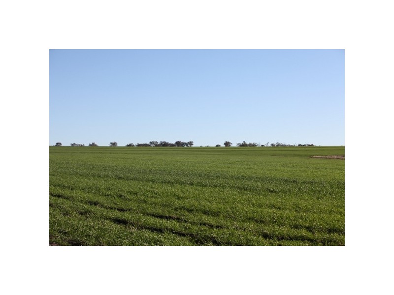 “Myall Creek Station” 2450 Bingara Road, Delungra NSW 2403