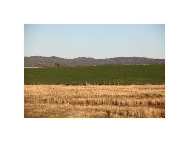 “Myall Creek Station” 2450 Bingara Road, Delungra NSW 2403