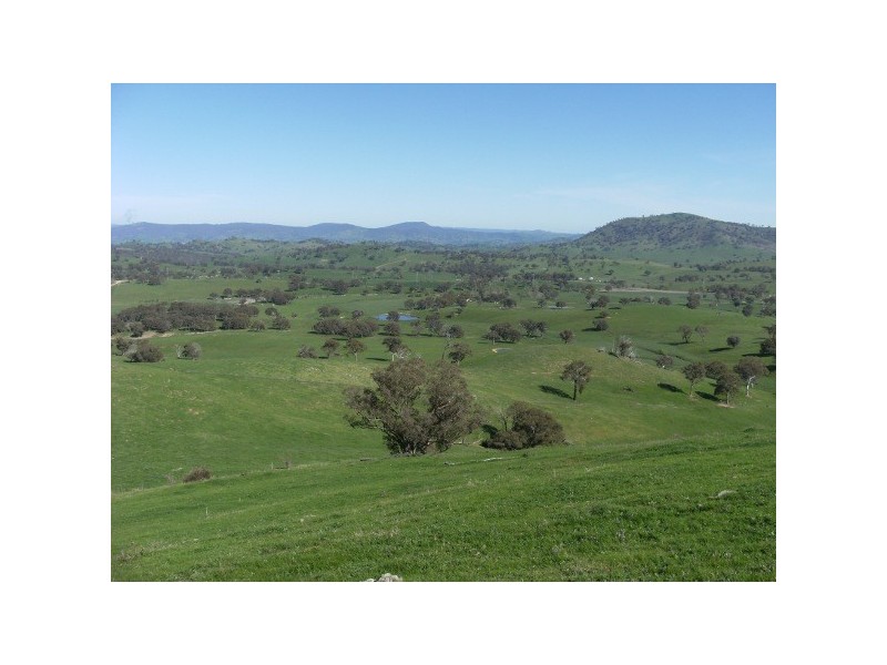 “The Poplars” 14 Wee Jasper Road, Wyangle NSW 2720