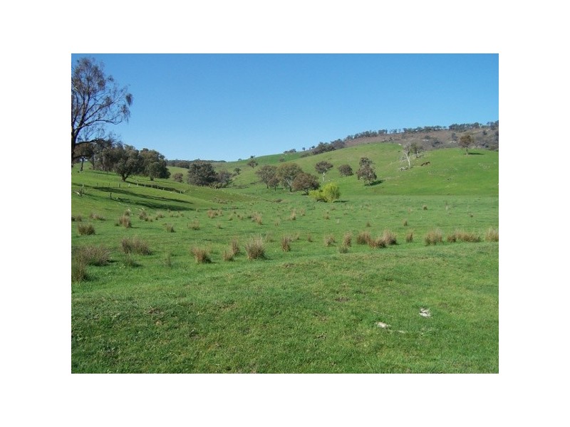 “The Poplars” 14 Wee Jasper Road, Wyangle NSW 2720