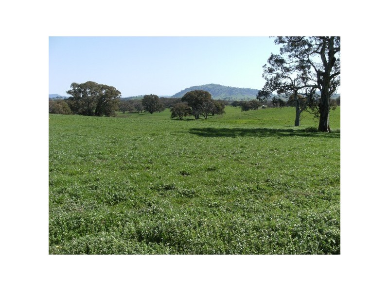 “The Poplars” 14 Wee Jasper Road, Wyangle NSW 2720