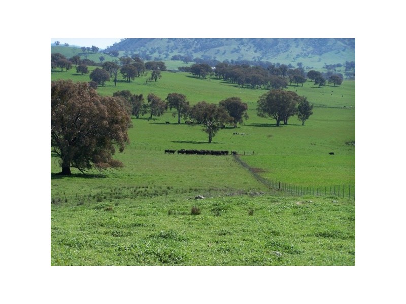 “The Poplars” 14 Wee Jasper Road, Wyangle NSW 2720